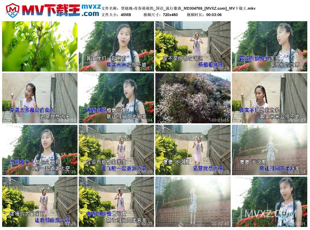 贾晓臻-青春萌萌的_国语_流行歌曲_MD304769